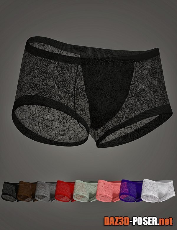 Dawnload XF Bunny Lace Lingerie Briefs for Genesis 8 and 8.1 Males for free