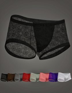 XF Bunny Lace Lingerie Briefs for Genesis 8 and 8.1 Males