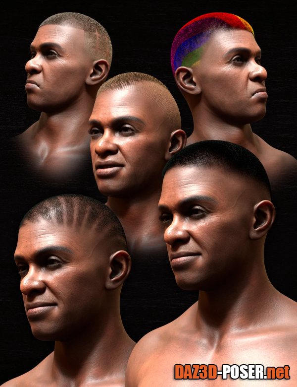 Dawnload Pattern Shaved Head Hair for Genesis 8 Males for free