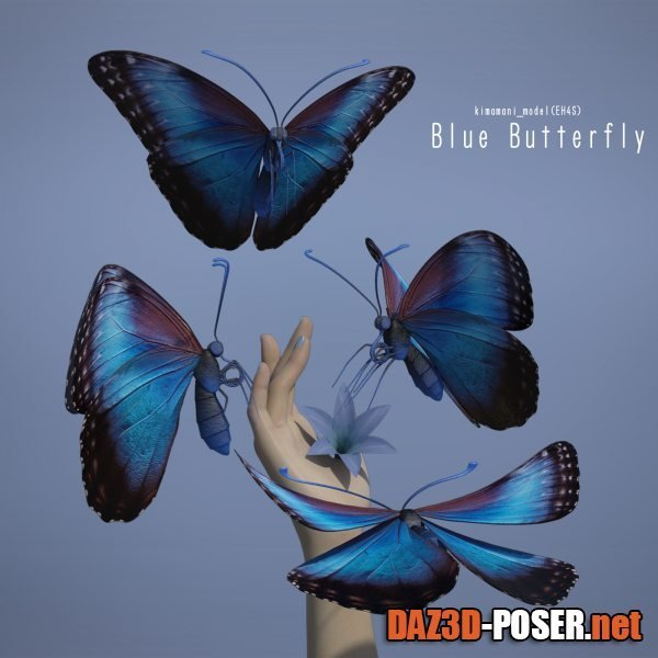 Dawnload Blue Butterfly for free