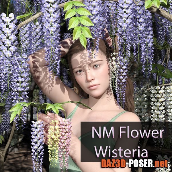 Dawnload NM Flower Wisteria for free