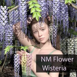 NM Flower Wisteria
