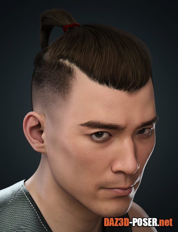 Dawnload Rudolf Top Ponytail Hair for Genesis 8 and 8.1 Males for free