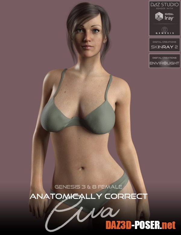 Dawnload Anatomically Correct: Ava for Genesis 3 and Genesis 8 Female for free