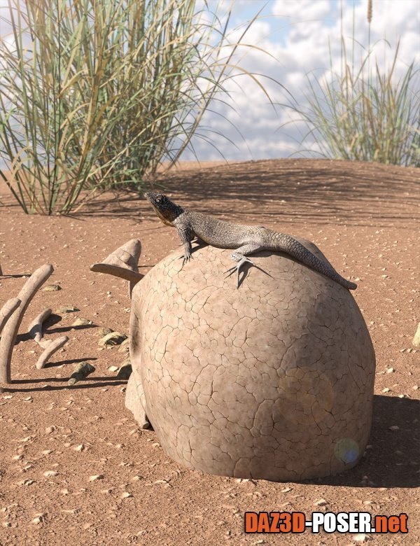 Dawnload A Peck Of Dirt – Iray Ground and Dirt Shaders For Daz Studio for free