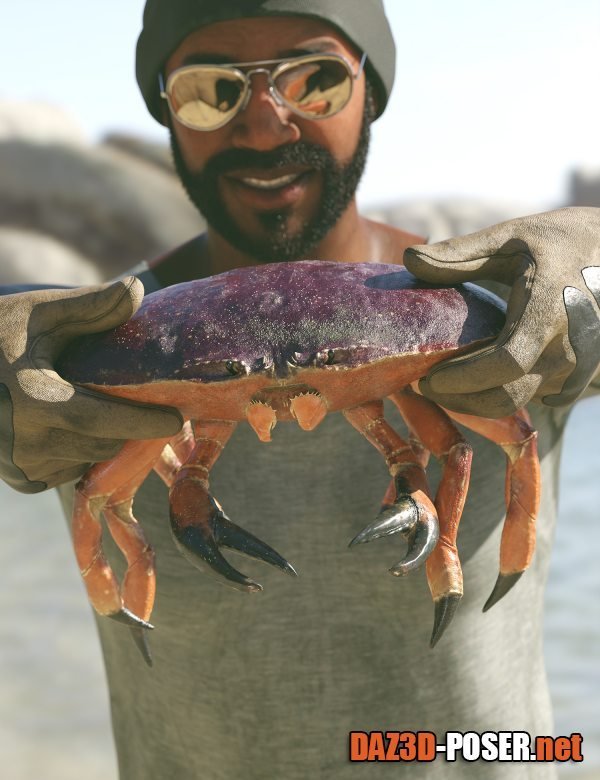 Dawnload Dungeness Crab HD for free