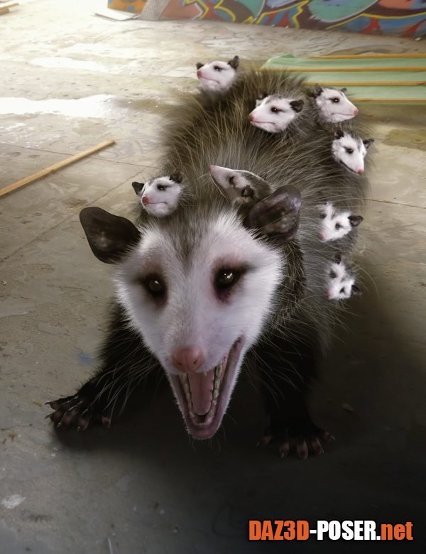 Dawnload Opossum by AM for free
