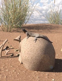 A Peck Of Dirt – Iray Ground and Dirt Shaders For Daz Studio