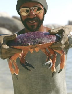 Dungeness Crab HD