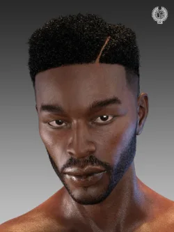 Top Fade Hair and Beard for Genesis 8 Male(s)