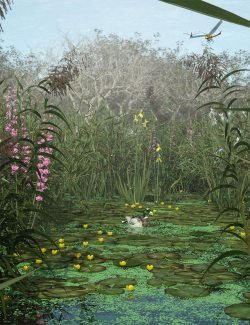 Wetlands Low Res Plants for Vol 2 – Flowering Plants