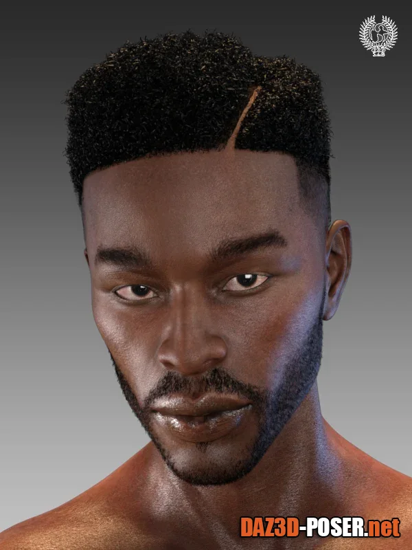 Dawnload Top Fade Hair and Beard for Genesis 8 Male(s) for free