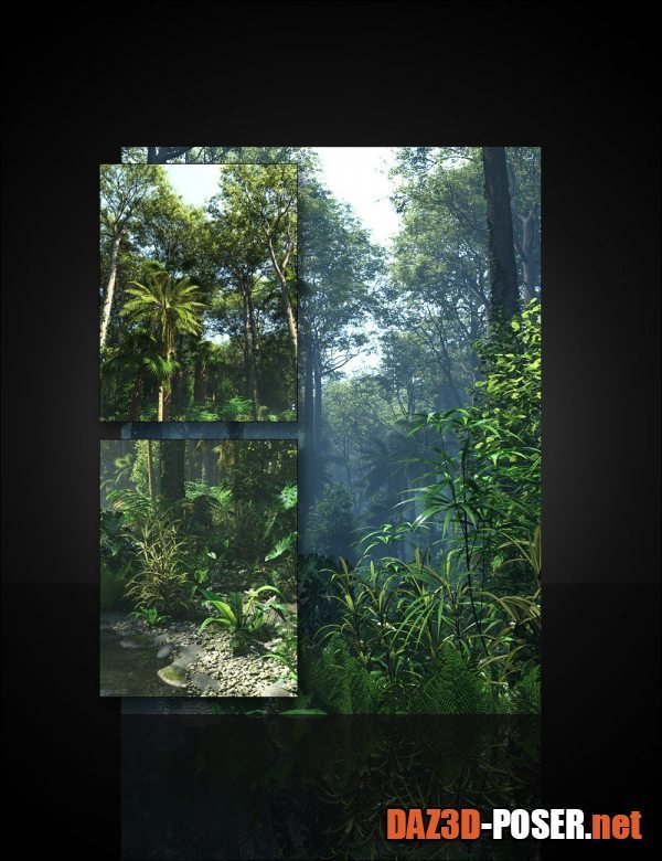 Dawnload Tropical Botanica – Bundle for free