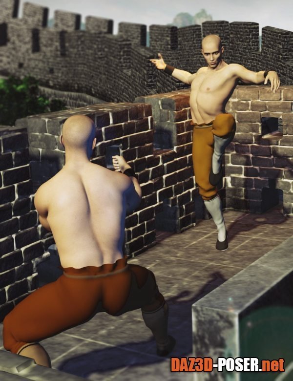 Dawnload KungFu Poses for Genesis 8 Males for free