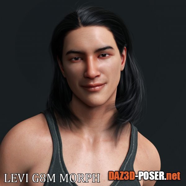Dawnload Levi Character Morph for Genesis 8 Males for free