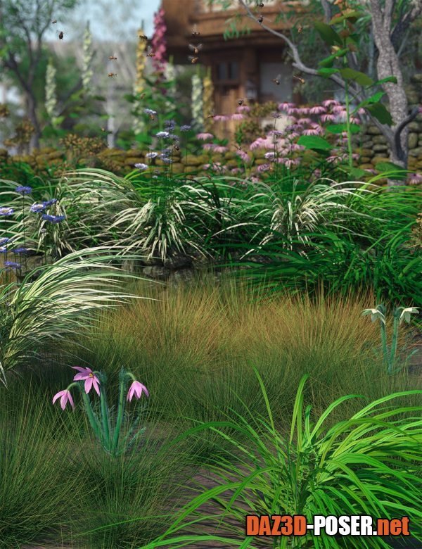 Dawnload Ornamental Grass Plants and Groups for Daz Studio for free