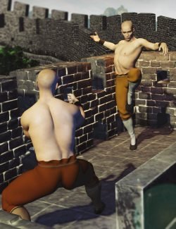 KungFu Poses for Genesis 8 Males