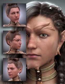 ND Fantasy Shaping for Genesis 8.1 Female