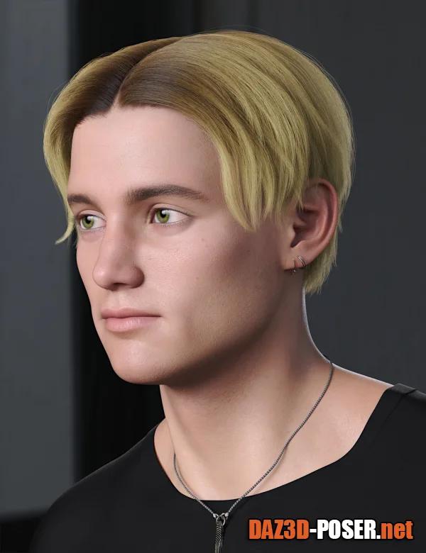 Dawnload 90s Boyband Hair for Genesis 8 and 8.1 Males for free