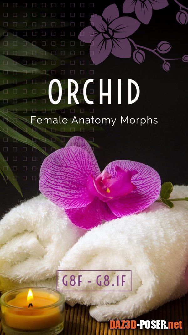 Dawnload Orchid - Genital Morphs for G8F Anatomy for free