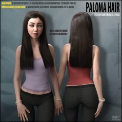 Paloma Hair for Genesis 8 Female