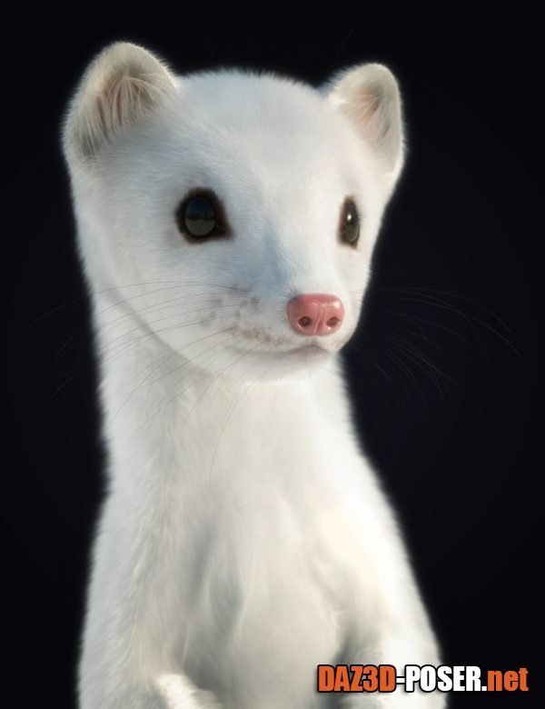 Dawnload Weasel by AM for free