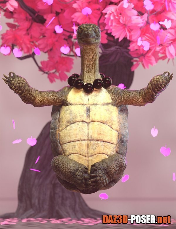 Dawnload Master Turtle Hierarchical Poses for Storybook Turtle for free