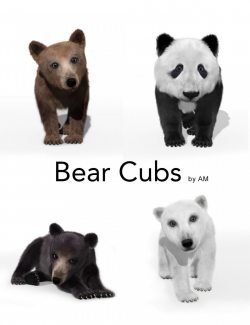 Bear Cubs by AM