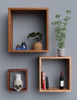 Contemporary Shelves
