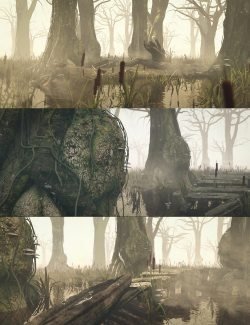 The Misty Swamp