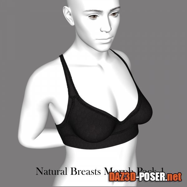 Dawnload Natural Breast Morph for Genesis 9 for free