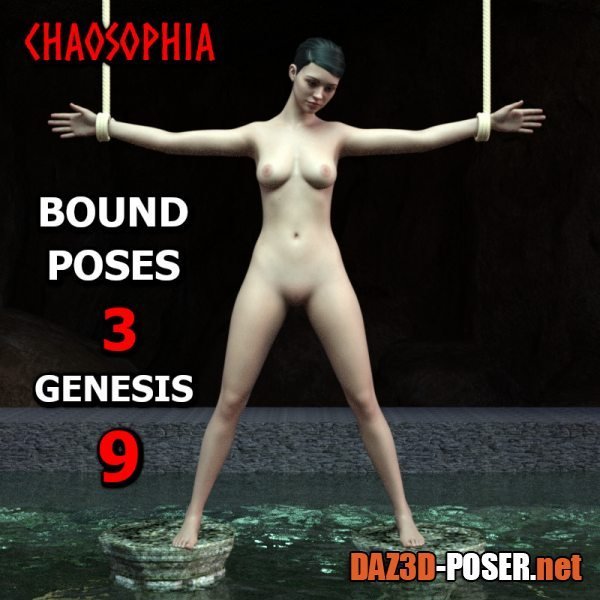 Dawnload Bound Poses 3 Genesis 9 for free