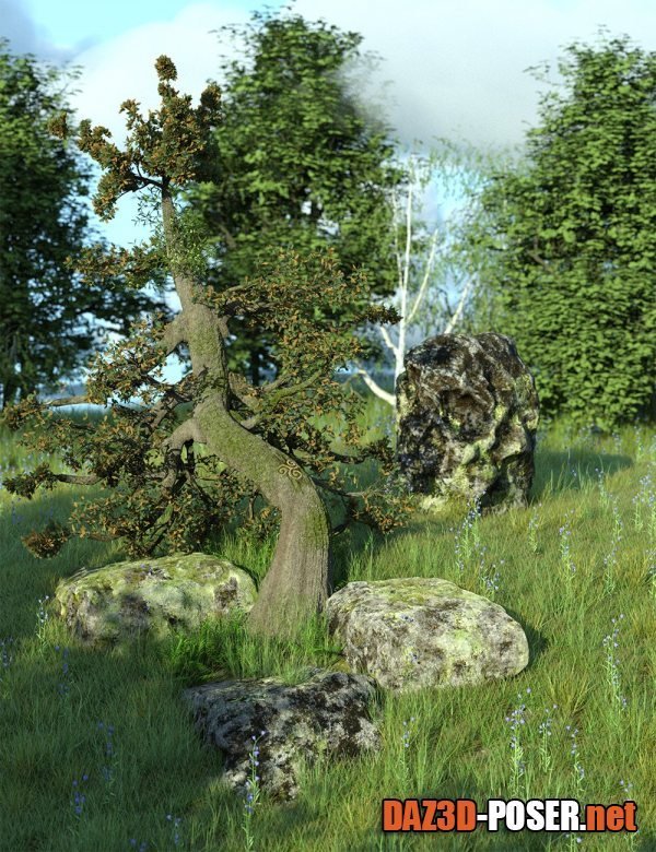 Dawnload The Druids Grove – A Mystical Scene for free