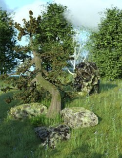 The Druids Grove – A Mystical Scene
