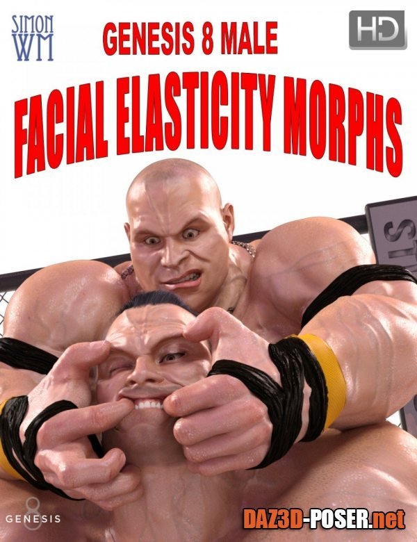 Dawnload Genesis 8 Male Facial Elasticity Morphs for free