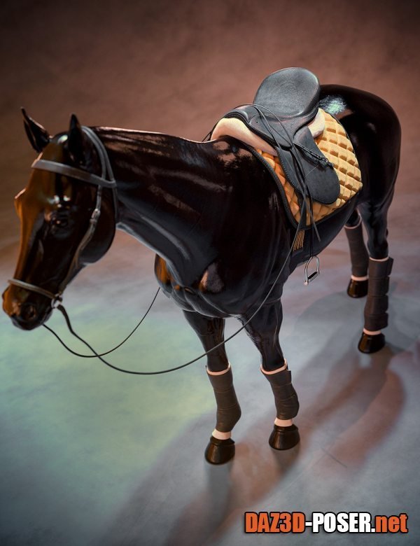 Dawnload English Style Tack for Daz Horse 3 for free