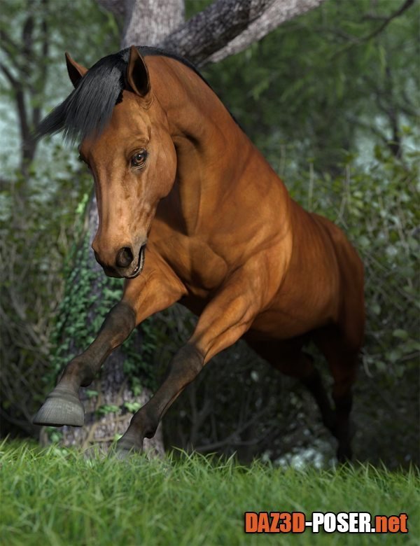 Dawnload Free Spirit Poses for Daz Horse 3 for free