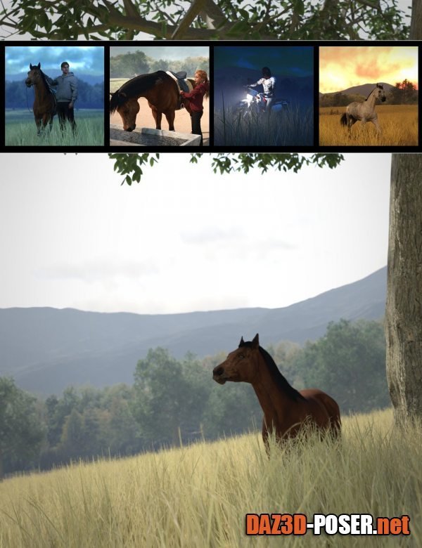 Dawnload Iron Ridge Horse Pasture for free