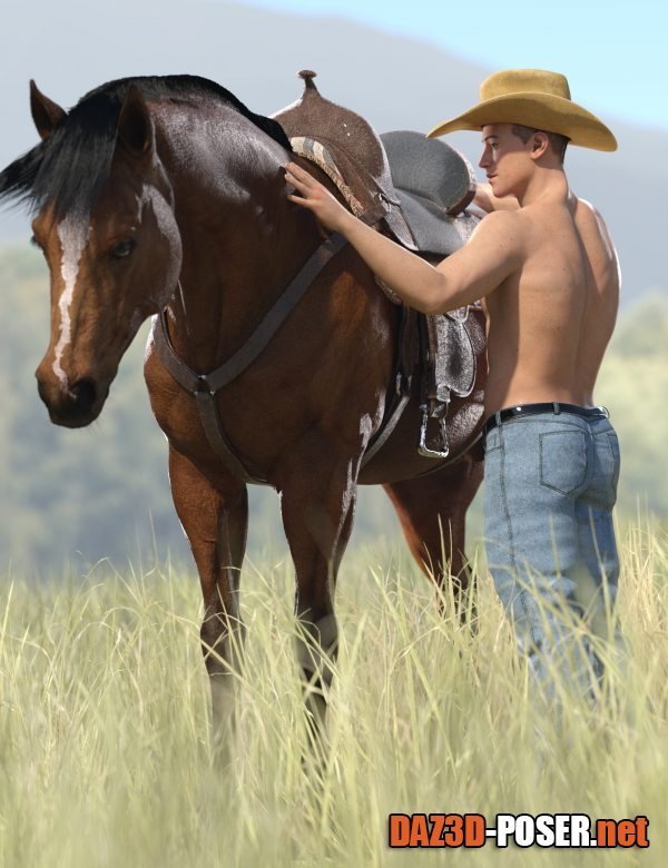 Dawnload Modern Cowboy Poses for Genesis 9 Masculine for free