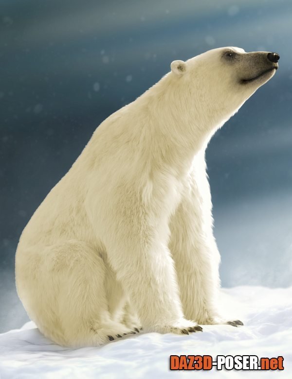 Dawnload Polar Bear 2 by AM for free