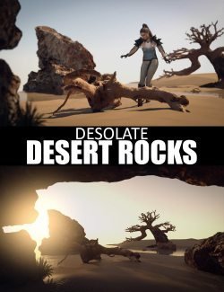 Desolate Desert Rocks