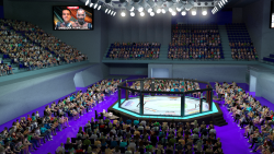 UFC_MMA_Stadium for DAZ