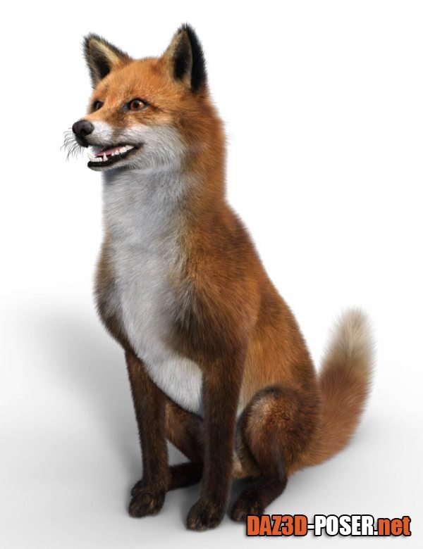 Dawnload Fox for Dog Nubis for free