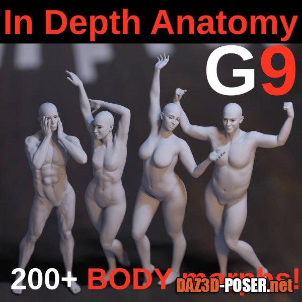 Dawnload In Depth Anatomy – Body Morphs G9 for free