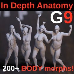 In Depth Anatomy – Body Morphs G9