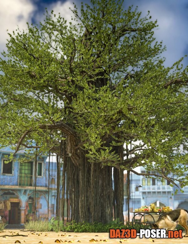 Dawnload Banyan Trees – High Resolution Plants for Daz Studio for free