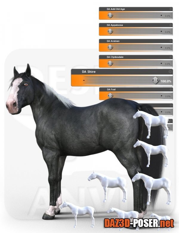 Dawnload DA Ultimate Shape pack for Horse 3 – Breeds for free