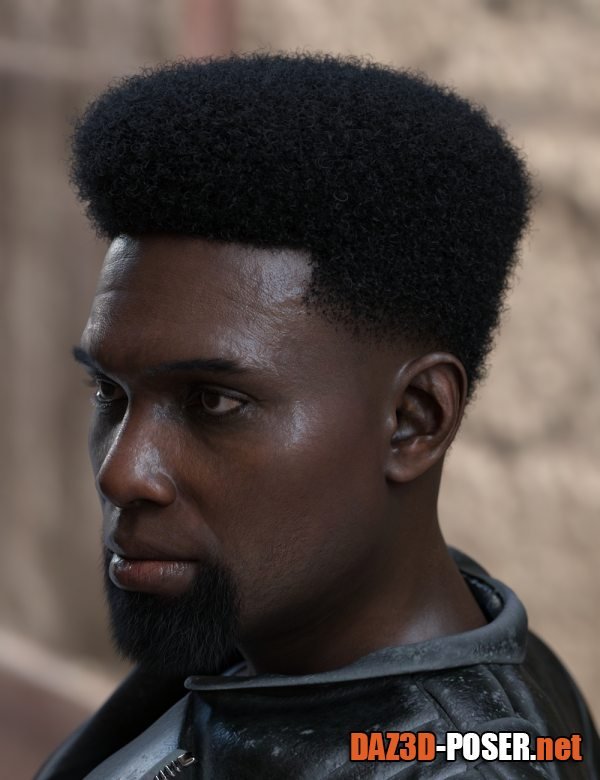 Dawnload Faded Afro Hair and Beard for Genesis 9 for free