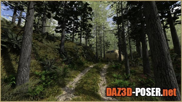 Dawnload Two Track in the Woods for DS for free