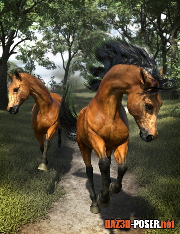 Dawnload dForce Horse Hair for the Daz Horse 3 for free